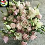 ladan.askari - @ladan13456 - Instagram