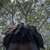 ladariusmitchell1 - @ladariusmitchell1 - TikTok