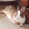 Lady - @lady.de.jong - TikTok