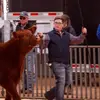 laddturner - @laddturner - TikTok