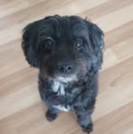 Lloyd Turner - Facebook