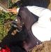 Ladell Johnson - Facebook