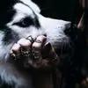 Vladislav_Filipas - @vladislav_filipas - TikTok