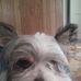 LaDonna Becker - Facebook