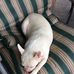 Ladonna Cook - Facebook