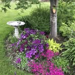 LaDonna Evans Corbin - Facebook