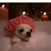 ladonnadevine1 - @ladonnadevine1 - TikTok