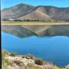 LaDonna Dodd - @ladonnadodd - TikTok