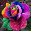 LaDonna Flemming - @user816653627 - TikTok