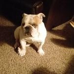Ladonna Haley - @ladonnahaley - Instagram
