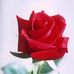 LaDonna Hendrix - Facebook