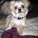 LaDonna Lang - Facebook