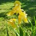 LaDonna Meyers - Facebook