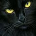 LaDonna Perry - Facebook