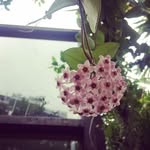 Ladonna Pollard - @pollard_ladonna - Instagram
