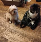 LaDonna Stanley - Facebook