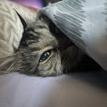 Donna Sweeney - @donna_sweeney - Instagram