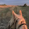 Lady miller - @lady.miller27 - TikTok