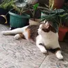 Ladynoel - @ladynoel007 - TikTok