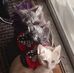 Lafayette Benson - Facebook