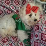 Peggy Lafayette Williams - @peggywilliams06 - Instagram