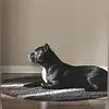 Lafayette Young - @lafayette.young35 - TikTok