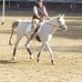 Laguna Woods Equestrian Center - Facebook