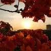 Lah shee - @lah.shee7 - TikTok