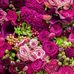 Lahoma Jones - Facebook