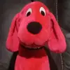 Lahoma Merrell - @lahomamerrell - TikTok