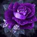 Lahoma Benson-Taylor - Facebook