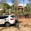 Điệp1311✅ - @diepgialai - TikTok