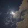 Lai Kong - @lai.kong3 - TikTok