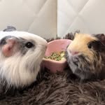 Lai‪❤︎Lui - @pui_pui00 - Instagram