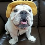 Lai Ming - @king_lai_ming - Instagram
