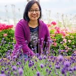 Lai Ming - @blaiming - Instagram