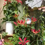 Lai Mok - @moklai0427 - Instagram