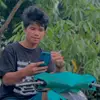 laiong_ - @user331722481771 - TikTok