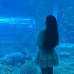 Lài Phạm - @_laipham - Instagram