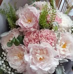 Lai Ping - Facebook
