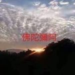 Lai Teck Choy - @laiteckcho - Instagram