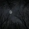 Laiba Arshad - @laiba15arshad - TikTok