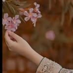 Laiba Arshad - Facebook