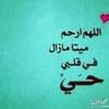 Laila Amine - @laila.amine12 - TikTok