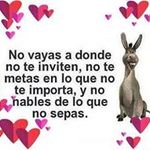 Laila Morena Amine - @lailaamine2394 - Instagram