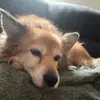 Laila - @lailavball - TikTok