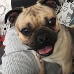 Layla Bates - Facebook