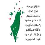Laila Bitar - @bitarlaila - Instagram