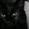 cherry - @laila_cherry - TikTok