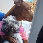 Laila Cherry & Catatau Rael - @laila.pet10 - Instagram